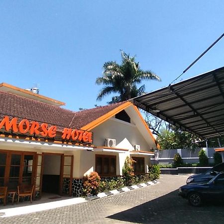 Morse Guest House Malang Ngoại thất bức ảnh